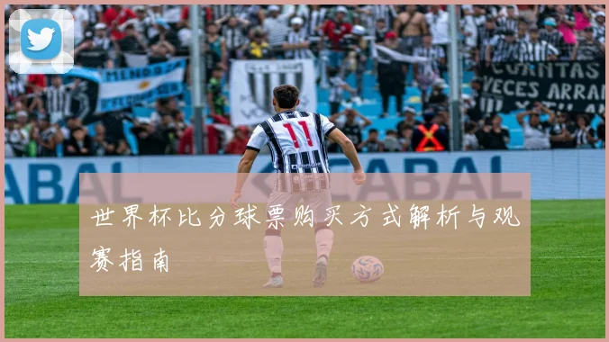 世界杯比分球票购买方式解析与观赛指南