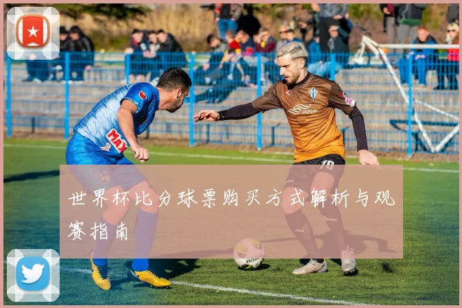 世界杯比分球票购买方式解析与观赛指南