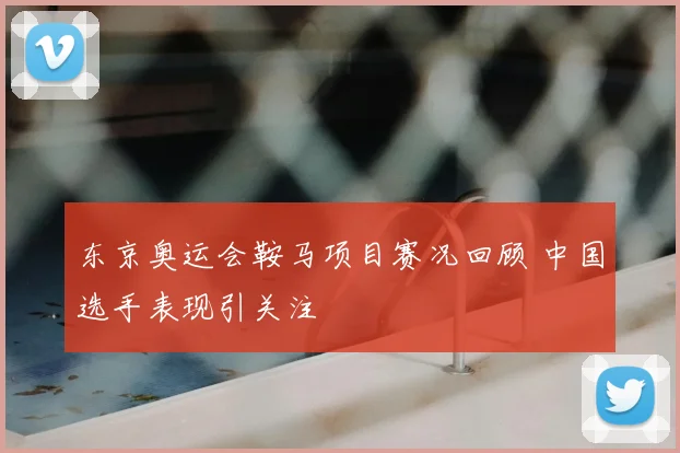 东京奥运会鞍马项目赛况回顾 中国选手表现引关注